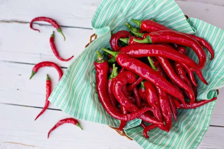 Cayenne pepper &#8211; description of the spice. Health benefits and harms