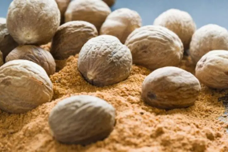 Nutmeg &#8211; description of the nut. Health benefits and harms