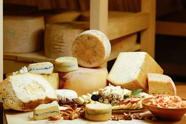 Calorie content of cheese and cheese products