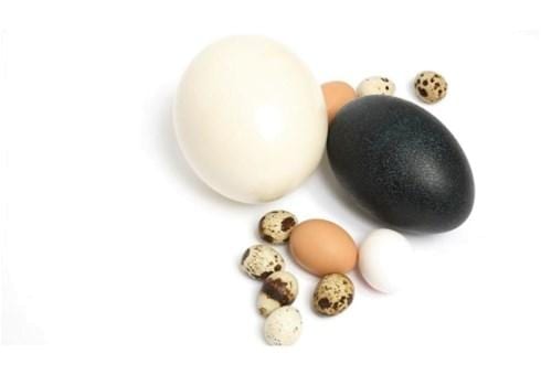 Sadržaj kalorija u jajima i proizvodima od jaja