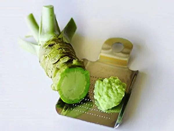 Wasabi &#8211; description of the spice. Health benefits and harms