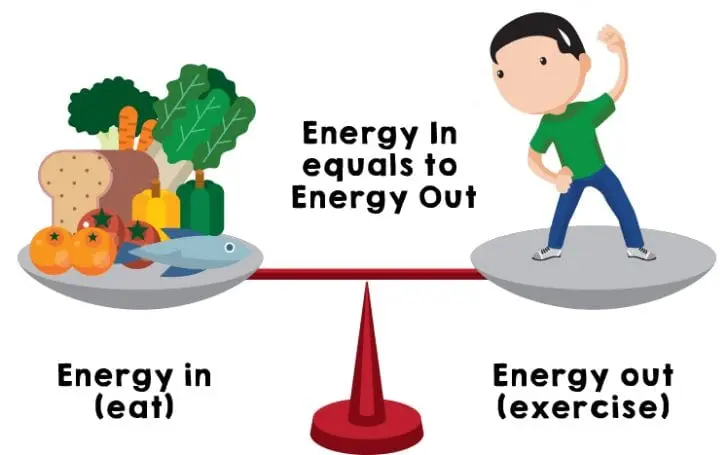 What is the metabolic rate