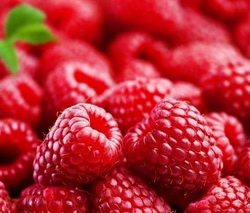 Raspberry - kandungan kalori dan komposisi kimia