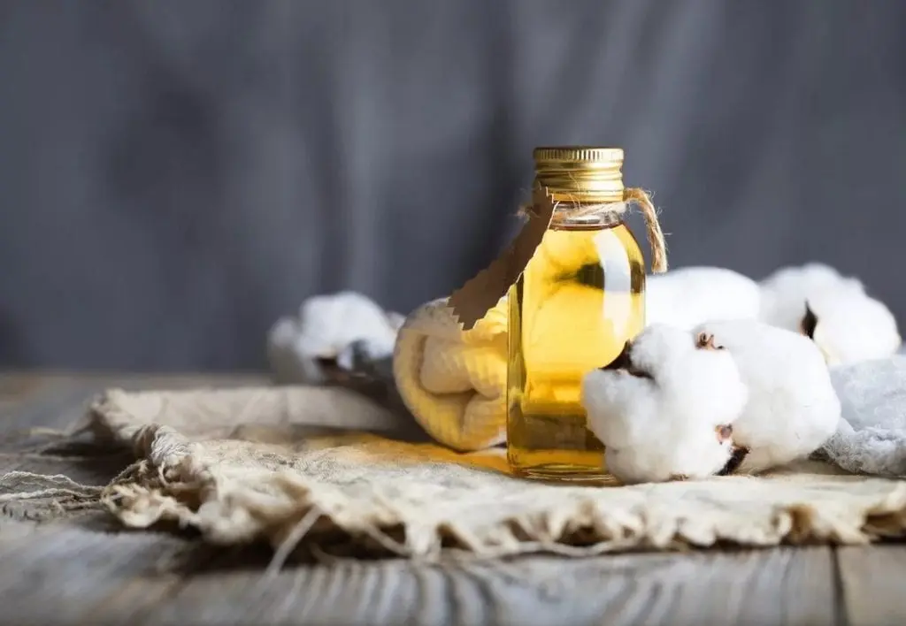 Cottonseed oil &#8211; description of the oil. Health benefits and harms