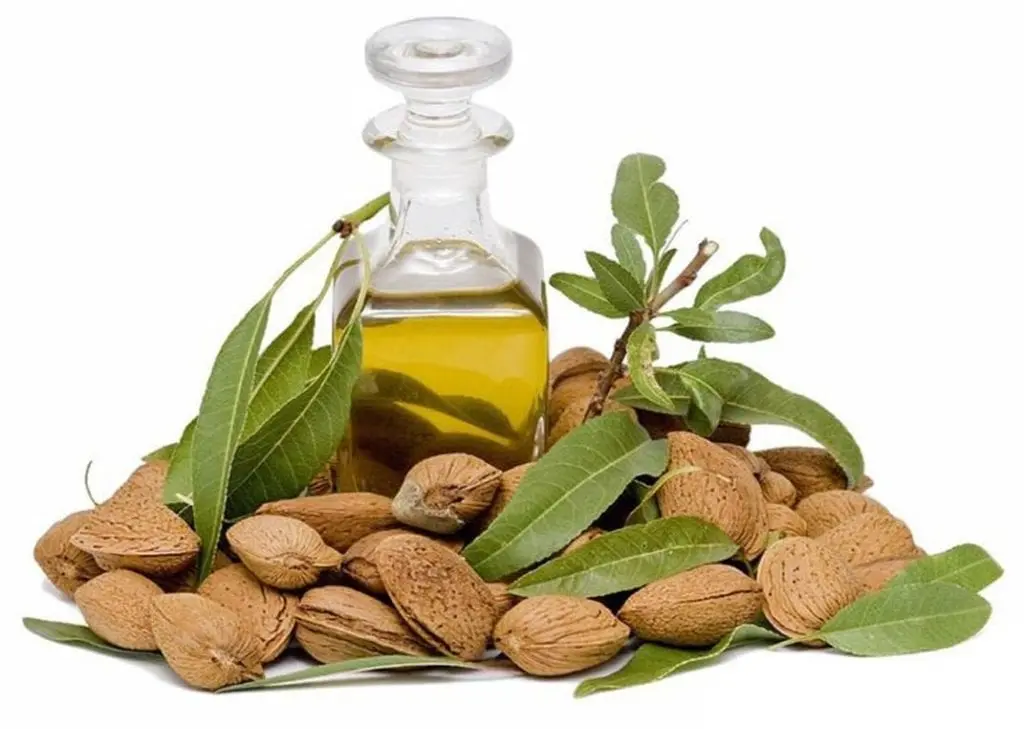 Almond oil &#8211; a description of the oil. Health benefits and harms