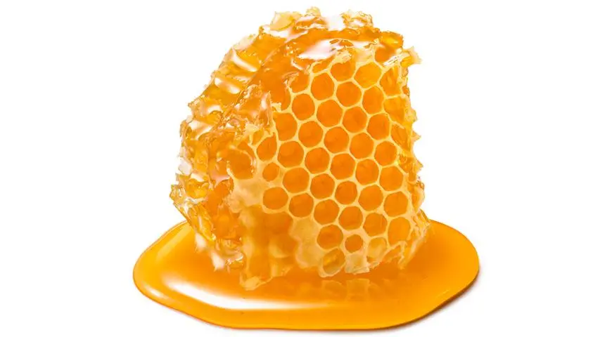 Types of Honey. Features and description of honey types