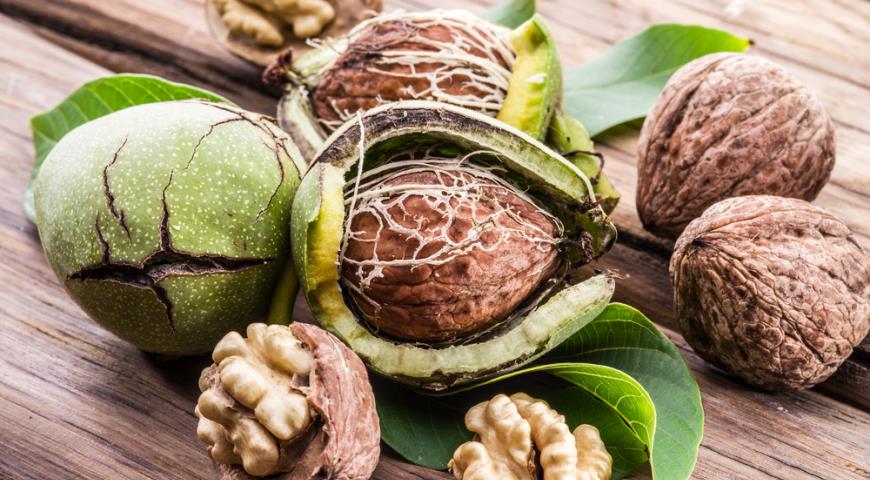 Walnuts &#8211; description of the nut. Health benefits and harms