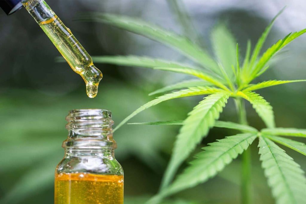 Hemp oil &#8211; description of the oil. Health benefits and harms