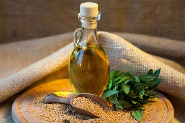 Mustard oil &#8211; a description of the oil. Health benefits and harms