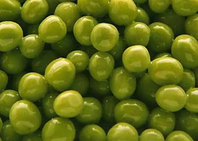 Peas boiled &#8211; calorie content and chemical composition