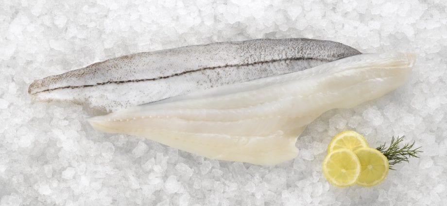 黑线鳕–卡路里含量和化学成分
