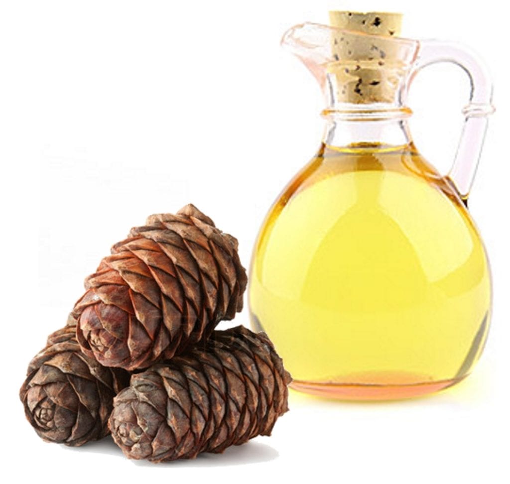 Cedar nut oil &#8211; description of the oil. Health benefits and harms