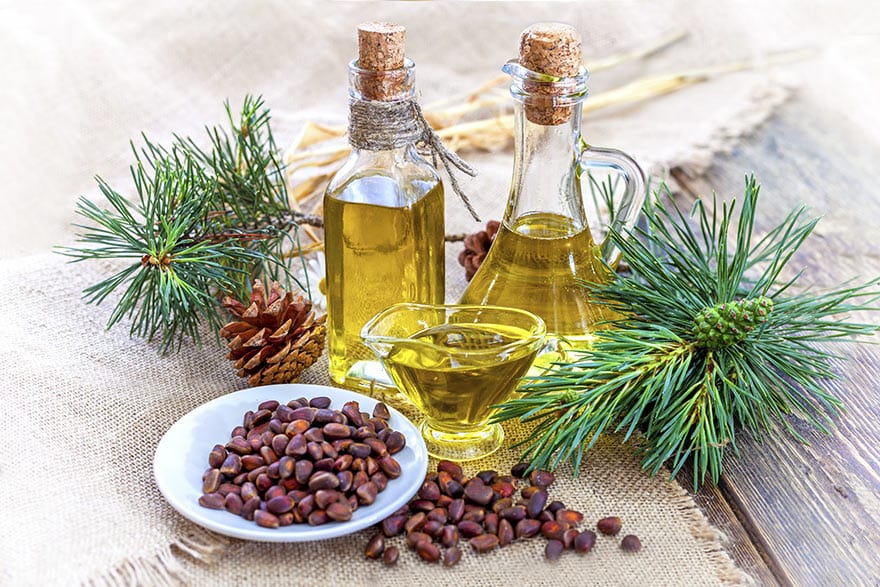 Cedar nut oil &#8211; description of the oil. Health benefits and harms