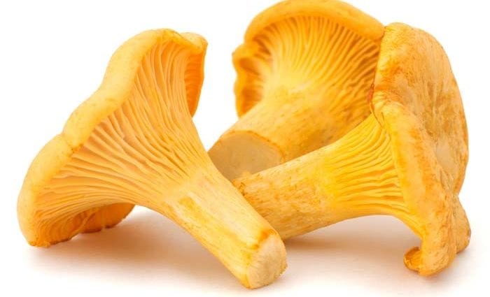 蘑菇蘑菇–卡路里含量和化学成分