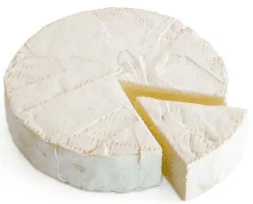 Cheese &#8220;Camembert&#8221; &#8211; calorie content and chemical composition