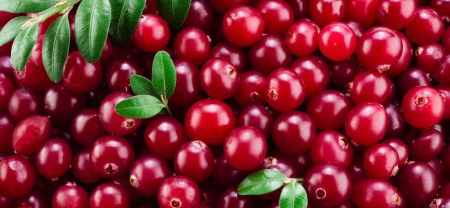 Cranberry - isi kalori lan komposisi kimia