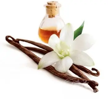 Vanilla &#8211; description of the spice. Health benefits and harms