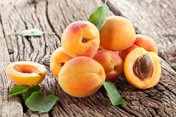 Apricot &#8211; calorie content and chemical composition