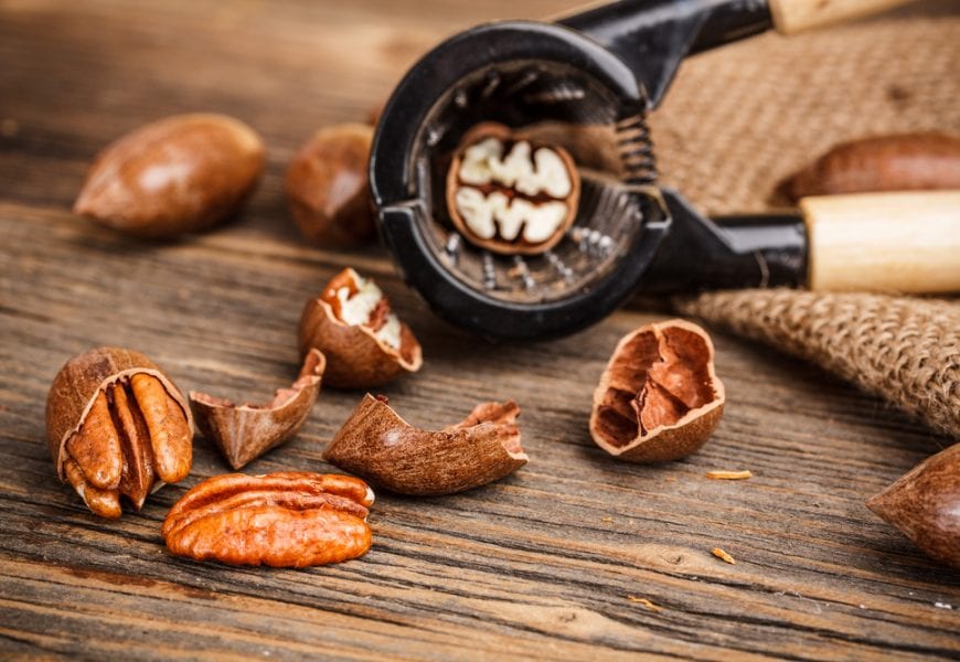 Pecan &#8211; description of the nut. Health benefits and harms