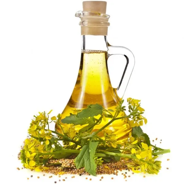 Mustard oil &#8211; a description of the oil. Health benefits and harms