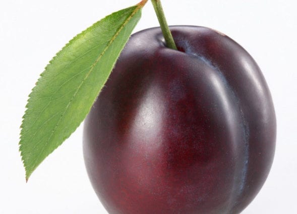 Plum &#8211; calorie content and chemical composition