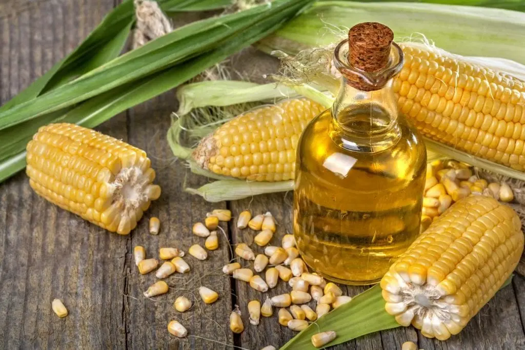 Corn oil &#8211; oil description. Health benefits and harms