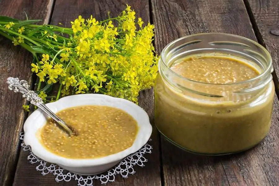 Mustard &#8211; description of the spice. Health benefits and harms