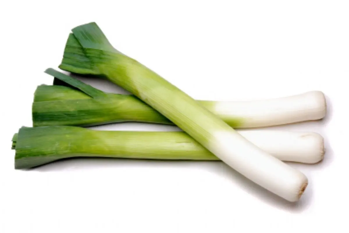 Leeks &#8211; calorie content and chemical composition