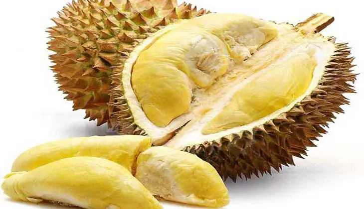 Durian &#8211; calorie content and chemical composition