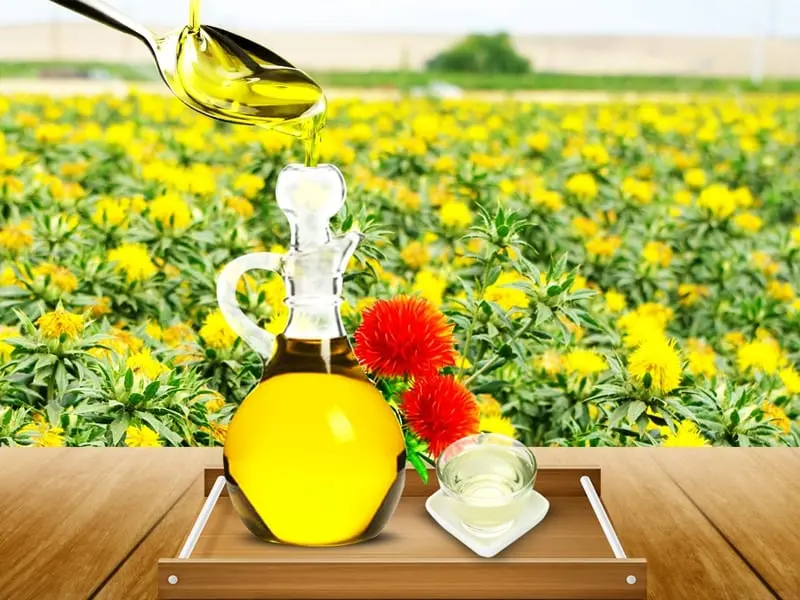 Safflower oil &#8211; a description of the oil. Health benefits and harms