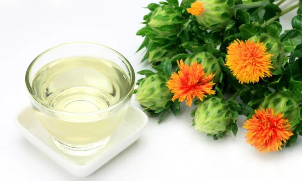 Safflower oil &#8211; a description of the oil. Health benefits and harms