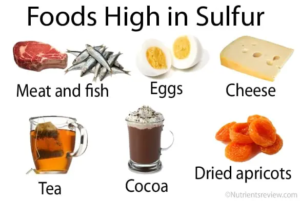 Sulfur in foods (table)