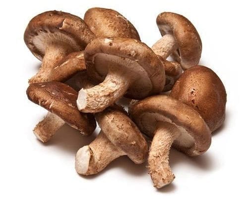 Šitake gljive