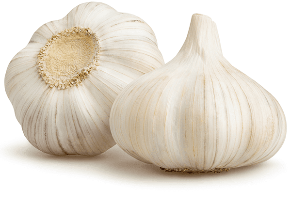 大蒜–卡路里含量和化學成分