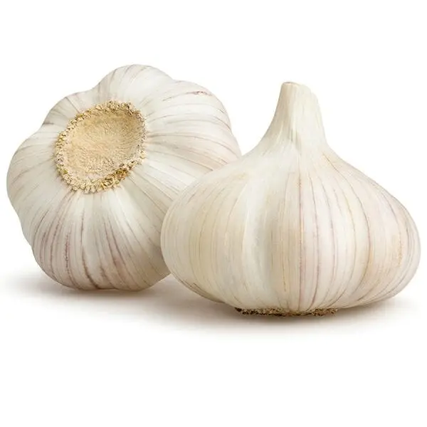 Garlic &#8211; the calorie content and chemical composition