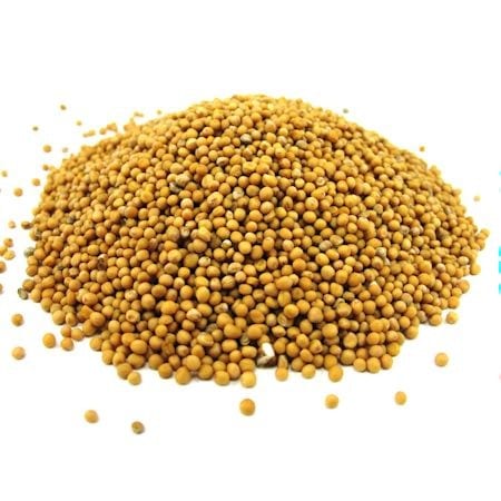 Mustard &#8211; description of the spice. Health benefits and harms