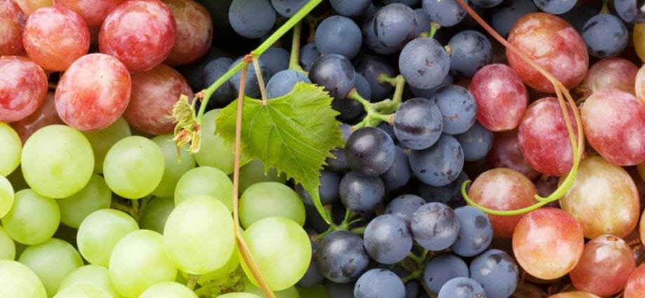 Grapes &#8211; calorie content and chemical composition