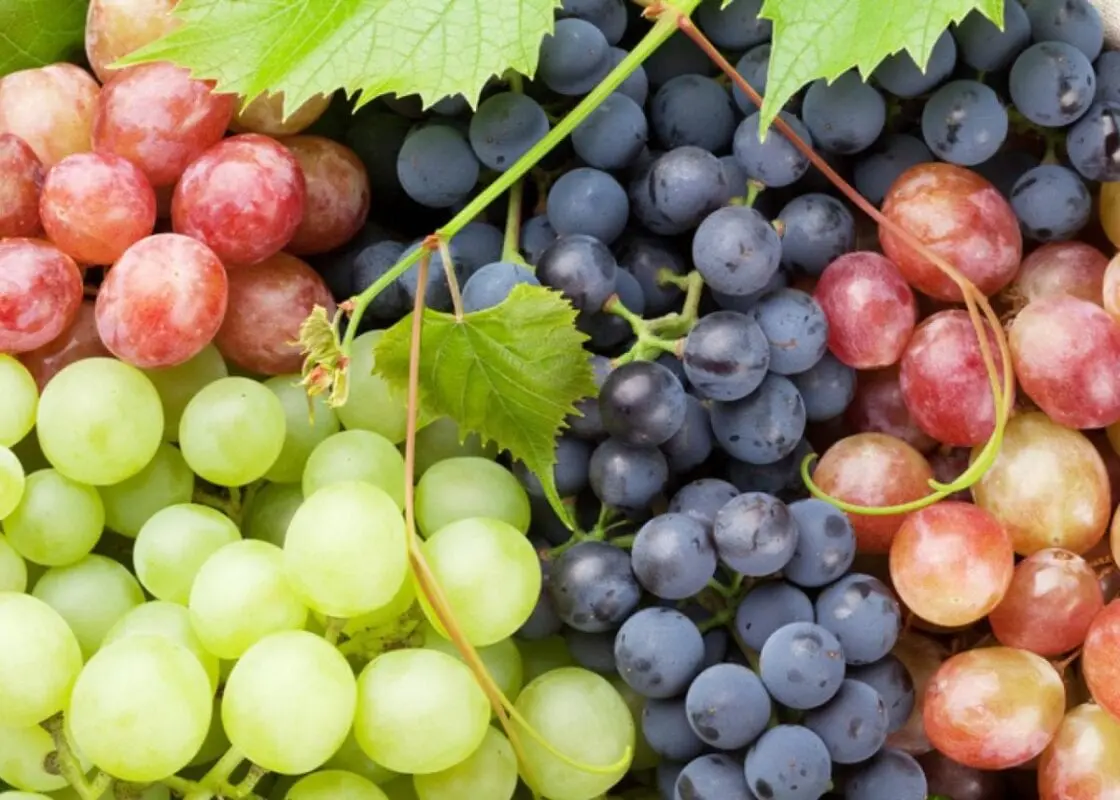 Grapes &#8211; calorie content and chemical composition