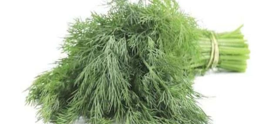 Dill (greens) &#8211; calorie content and chemical composition