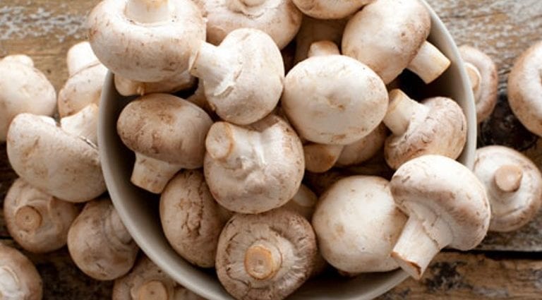 Mushrooms &#8211; calorie content and chemical composition