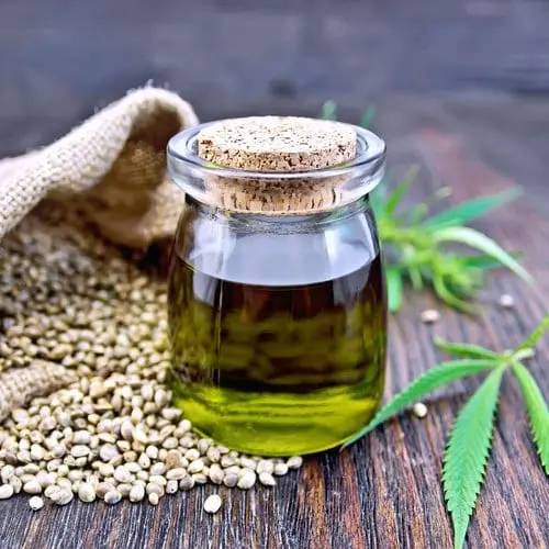 Hemp oil &#8211; description of the oil. Health benefits and harms