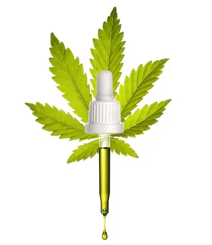 Hemp oil &#8211; description of the oil. Health benefits and harms