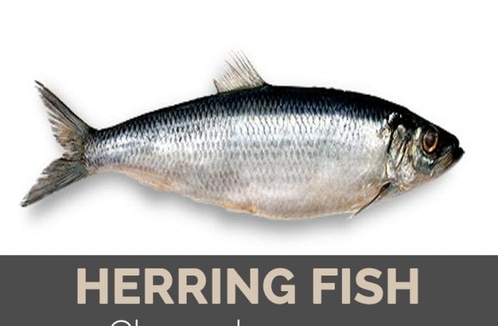 Low-fat Herring &#8211; calorie content and chemical composition