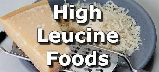 Leucine in foods (table)