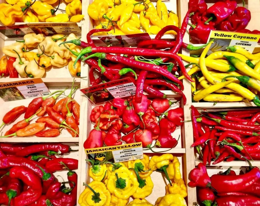 Chili pepper &#8211; description of the spice. Health benefits and harms