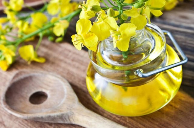 Rapeseed oil &#8211; oil description. Health benefits and harms