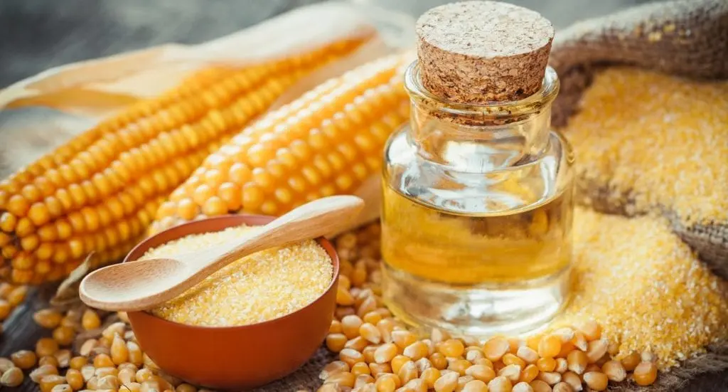 Corn oil &#8211; oil description. Health benefits and harms