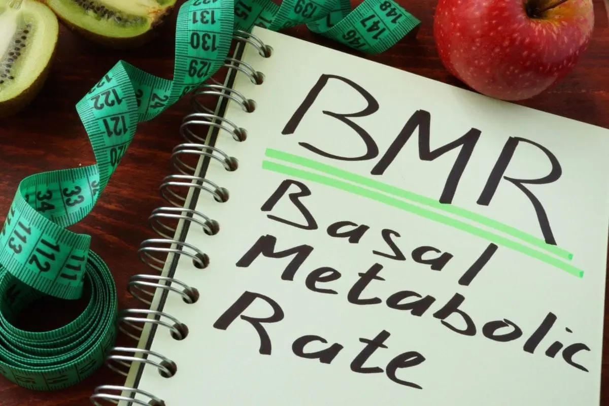 Basal metabolic rate (calorie expenditure per day)