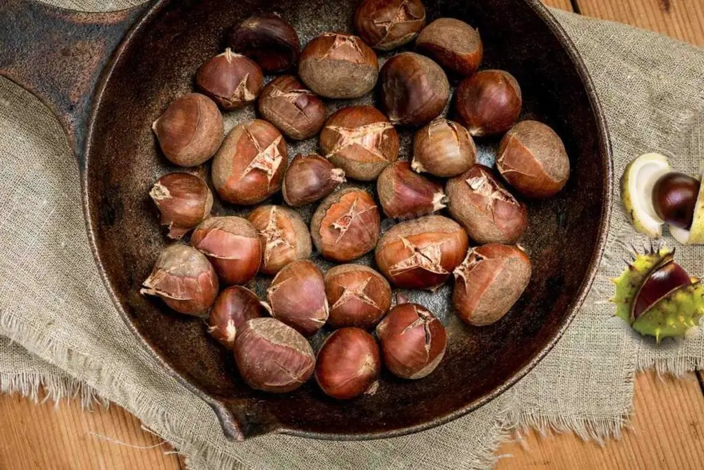 Chestnuts &#8211; description of nuts. Health benefits and harms