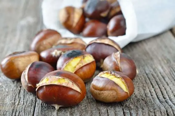 Chestnuts &#8211; description of nuts. Health benefits and harms